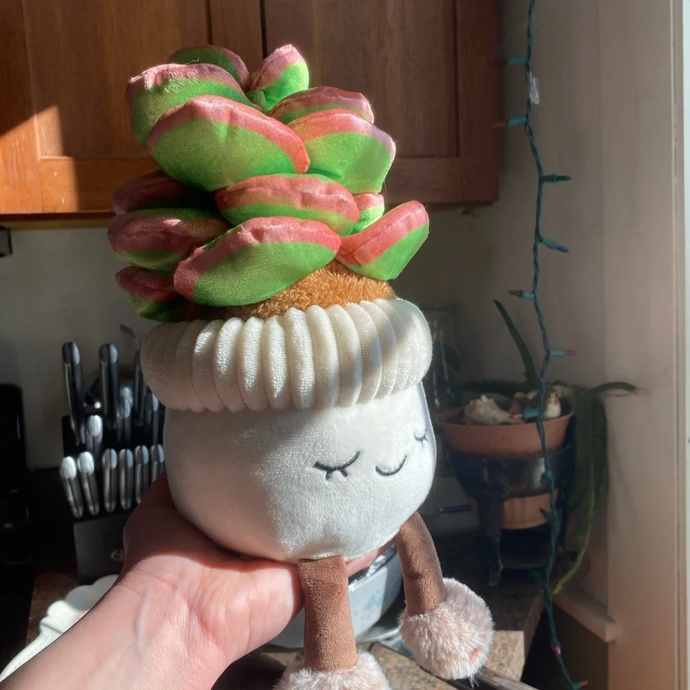 Sleepy Cozy Potted Succulent Plush CUTIE Decor PLANT LOVERS 🏜️🪷